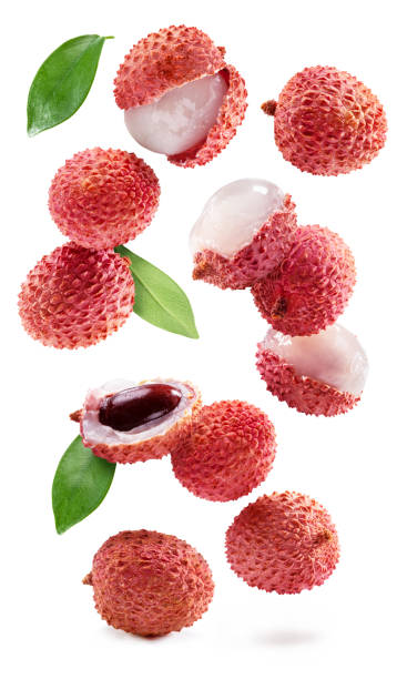 Set of flying lychee fruits isolated on white background. stock photo