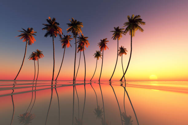 80+ Isla De Kadavu Fotografías de stock, fotos e imágenes libres de