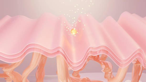 istock Serum and Saggy skin 1405446232