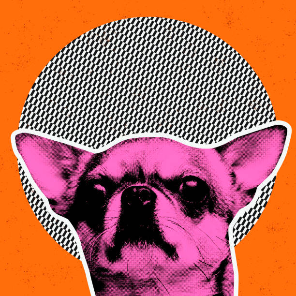 istock Dog's portrait over surreal background with optical illusion elements. Contemporary art collage. Art, ideas, imagination 1405449639