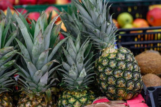 Pineapples in the store on the counter. stock photo