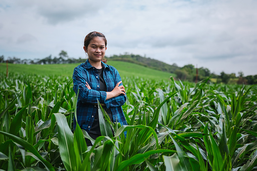 one Asia young girl farmer standing crossed arms on green corn field in rural area of thailand, agriculture and cultivation concepts