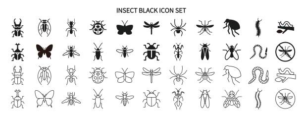 ilustraciones, imágenes clip art, dibujos animados e iconos de stock de conjunto de iconos en blanco y negro de insectos y plagas - rhinoceros beetles