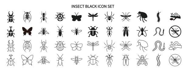 Insect and pest black-and-white icon set Insect and pest black-and-white icon set cicada stock illustrations