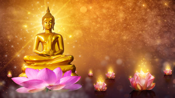 buddha statue water lotus buddha standing on lotus flower on orange background - water lily pink yellow imagens e fotografias de stock