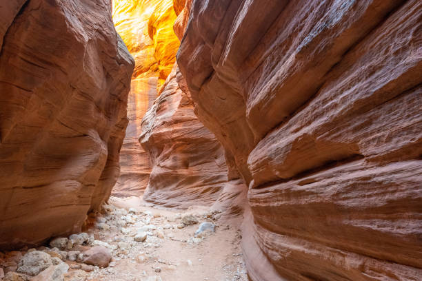 istock Buckskin Gulch Slot Canyon 1405457795