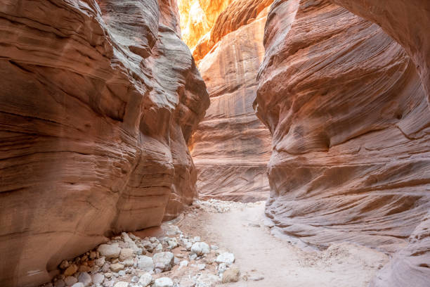 istock Buckskin Gulch Slot Canyon 1405458310