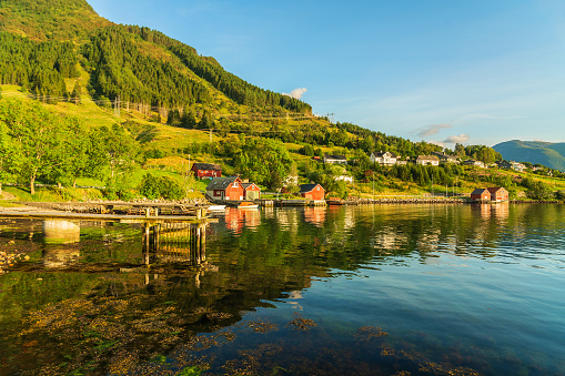 Rural houses in Norwegian fjords green landscape, Norway, Rosendal village.