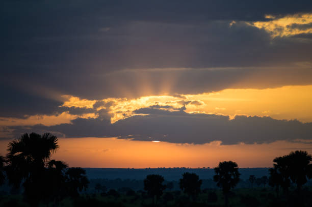 istock Sunrise in Murchonson Falls National Park Uganda 1405459029