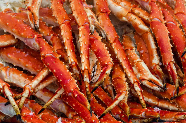 carne de cangrejo - alaskan king crab fotografías e imágenes de stock