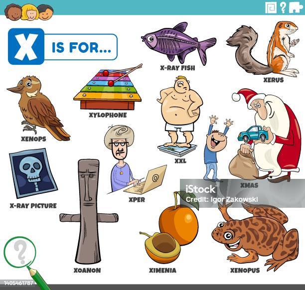 Letter X Words Educational Set With Cartoon Characters Stock Illustration -  Download Image Now - iStock
