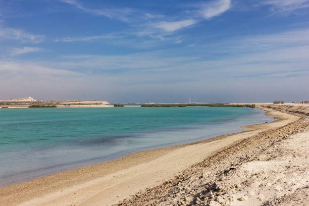 sea beach landscape view in summer, united arab emirates. sir bani yas island, abu dhabi - middle east recreational pursuit abu dhabi united arab emirates imagens e fotografias de stock