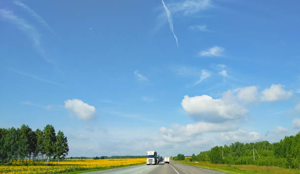 istock A two-lane asphalt highway between a yellow sunflower and a green forest on which a white truck and other cars drive against a blue sky 1405469448