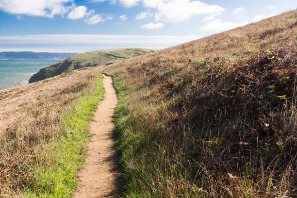 chimney rock trail am point reyes national seashore - point reyes national seashore northern california beach california stock-fotos und bilder