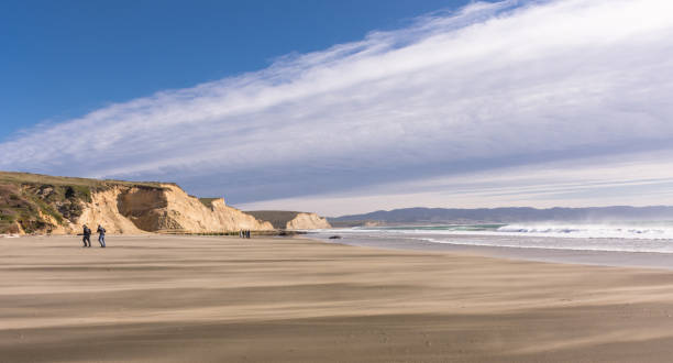 soffiando sabbia e vento a point reyes national seashore - northern california point reyes national seashore california coastline foto e immagini stock