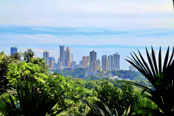 istock Skyline of modern City 1405472356