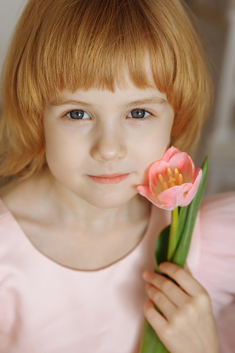 Charming smiling little girl in a pale pink dress holds a pink tulip in her hands. The concept of International Women's Day on March 8.