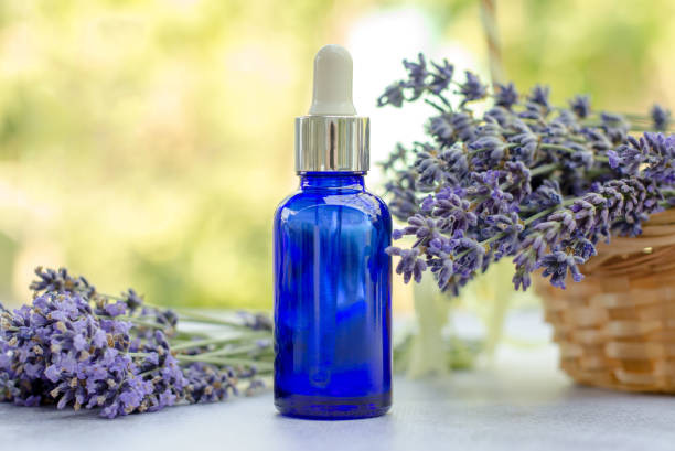istock Blue bottle with lavender essential oil on nature background 1405473968
