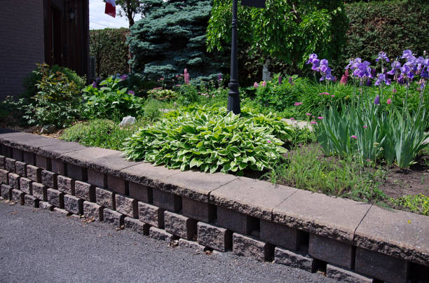 foliage varié - landscaped retaining wall wall stone photos et images de collection