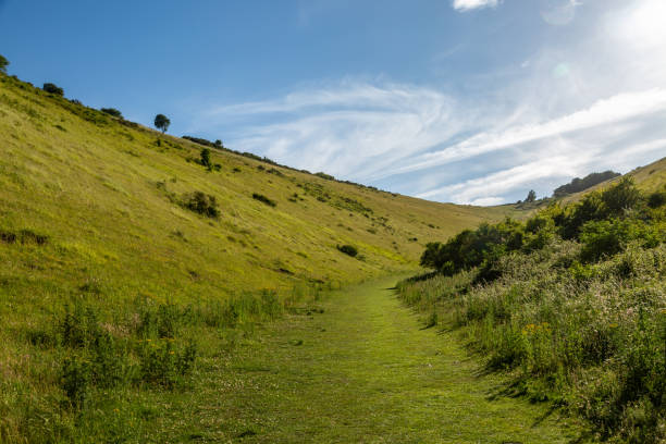 istock Looking along the Dry Valley of Devil's Dyke, on a Sunny Summers Day 1405475532