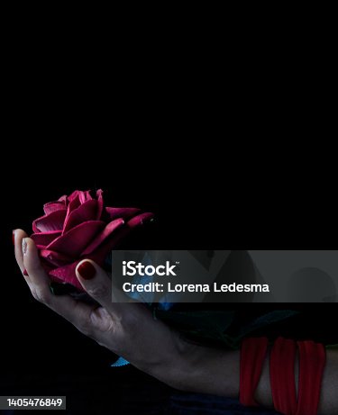 istock Close up of woman tied hand holding red rose on black background. concept of painful love. Copy space 1405476849