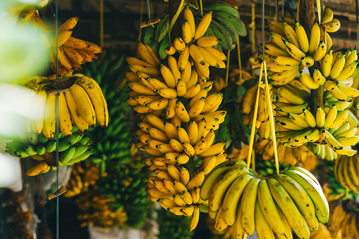 Ripe yellow bananas fruits, bunch of ripe bananas with dark spots on a white background with clipping path.