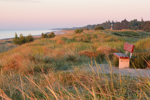 Empty wooden bench on a sand dune with dune grass on a sunny morning at Marielyst, Denmark