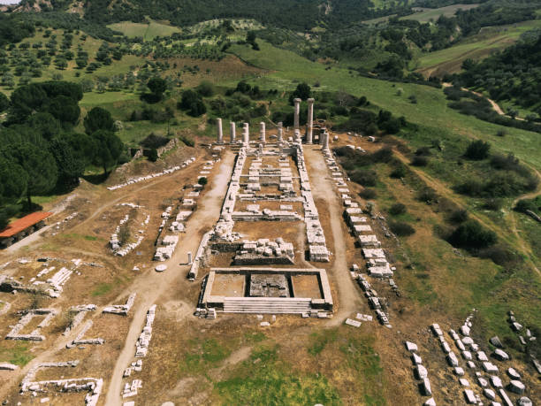 istock Sardes temple of artemis ruins in trees 1405481249