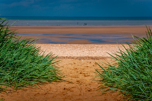 Sea grass frames the entrance to the beach at Anderby Creek, near Skegness, Lincolnshire at low tide on a warm sunny day.