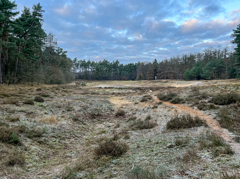View of the heathland in winter in cold weather next to the city called 