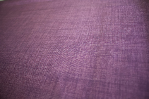Plants and furnishing fabrics in purple