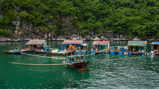 The Floating Fishing Villages are among the most special attractions of the UNESCO world heritage site at Halong Bay in northern Vietnam.