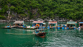 Vietnamese Fishing Village