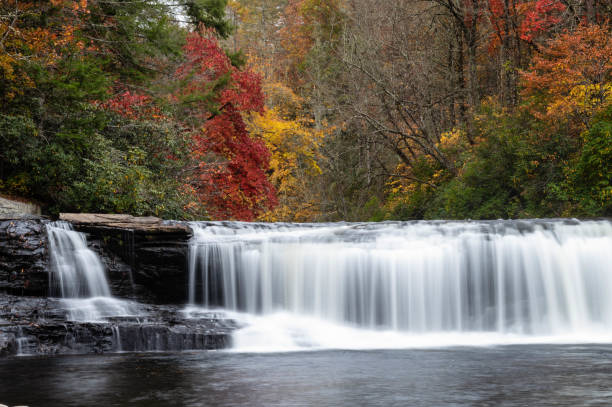 秋の森に隠された爽やかな滝 - dupont state forest ストックフォトと画像