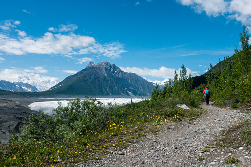 Man Hiking up a Glacier, Wrangell St. Elias NP, Alaska