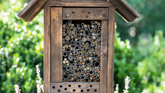 Nesting Box Filled With a Collection of Bee Tubes