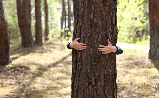 istock Man with his hands hugs a tree trunk, unity with nature, environmental protection. hand touch the tree trunk. ecology a energy forest nature concept. a man hand touches a pine tree 1405497646