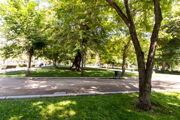 istock Square in downtown area of Santiago 1405504089