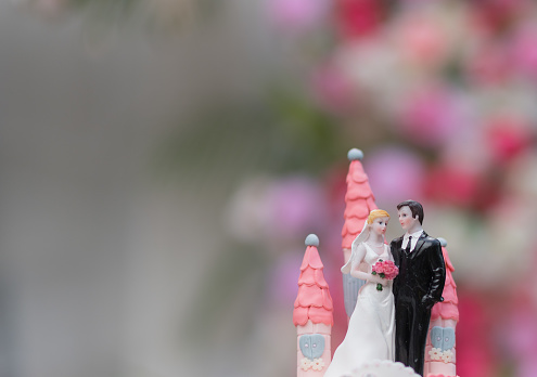 Cake topper with bride and groom figure