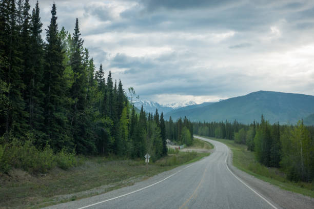 istock The Long Roads of Alaska 1405509949