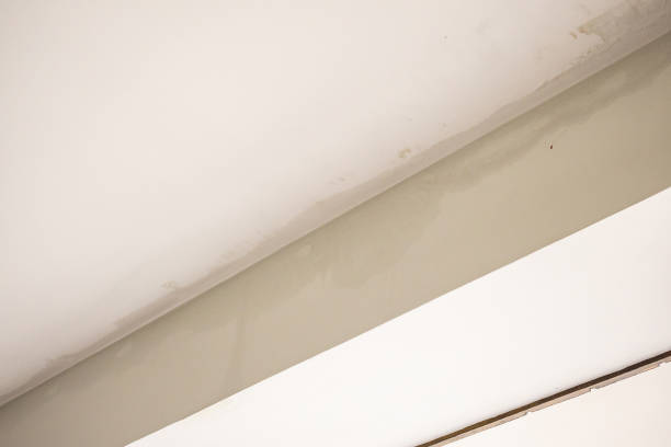 istock Rain water leak damaged ceiling close up 1405510222