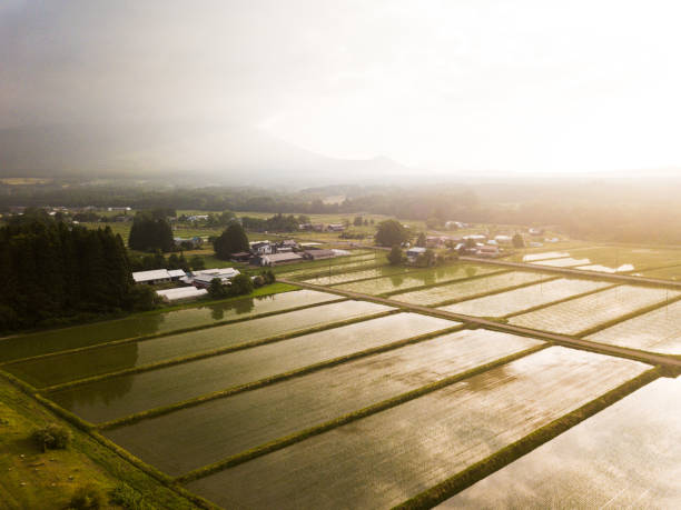 vue aérienne sur les rizières et les champs agricoles de la campagne rurale - tohoku region photos et images de collection