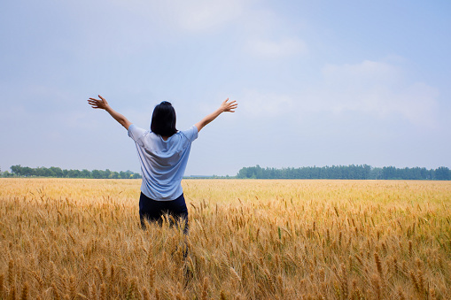 Woman standing in golden wheat field