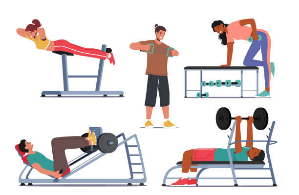 ilustrações, clipart, desenhos animados e ícones de conjunto de pessoas treinando em academia. personagens masculinas e femininas se exercitando com equipamentos profissionais de fitness fazendo exercícios - crouching barbell weightlifting weight training