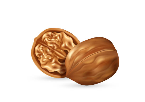 istock Walnut kernel in open shell realistic icon. Tasty fresh nut for nutrition, branding 1405511622