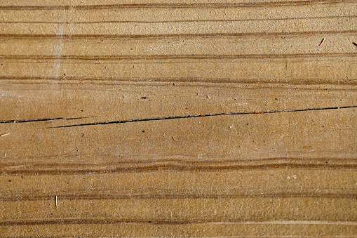Detail of wood deck board