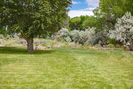 Grass and Trees in Gunnison Fertile River Valley Arid Desert Climate Yards in Western USA Agriculture Photo Series