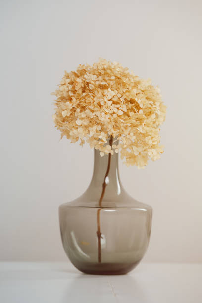 istock Darkened glass vase with dry puffy plant sticking from it. 1405519073