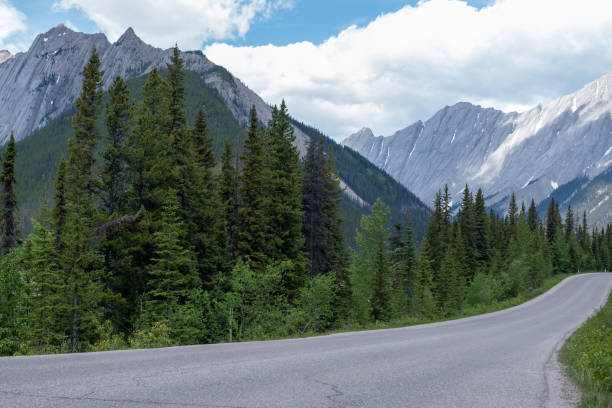 A scenic road with no vehicles and a blue sky with some clouds.