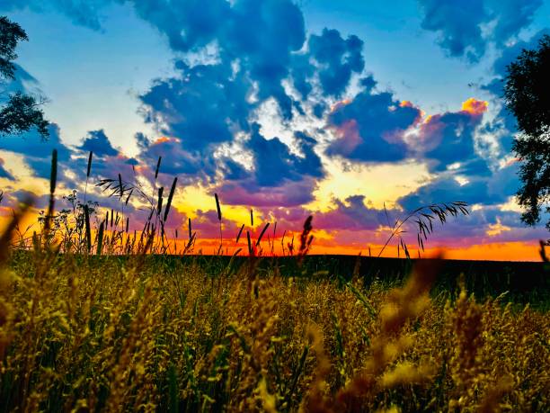 istock Country living 1405523056